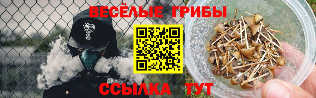 Черкесск  Галлюциногенные грибы Magic Shrooms  Вход с VPN  Псилоцибиновые грибы Magic Shrooms 